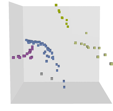 L’illustrazione mostra la ripartizione dei cluster secondo i criteri considerati per il benchmark.