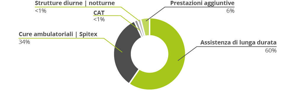 Fig. 1: percentuale delle prestazioni fatturate dalle case di cura, dal personale infermieristico e Spitex (2017)